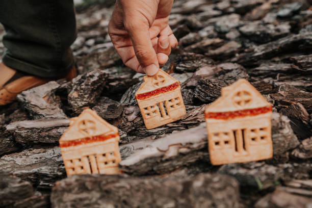istock Biscuitshaped cookie stands on bark of  tree 1136522836