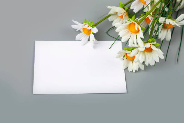 istock Bouquet daisies and a card 1136523224