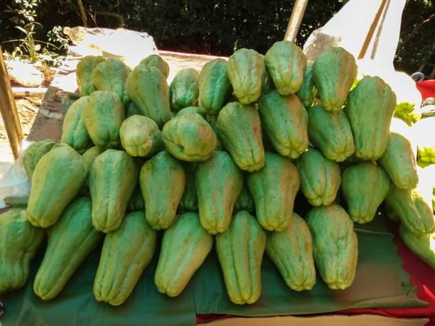 chayote para venda - christophine - fotografias e filmes do acervo