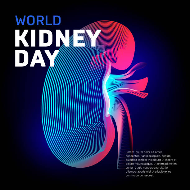 dünya böbreği gün sağlık vektör fasulyesi insan organı siluet kontur soyut 3d geometri çizgiler doku - world aids day stock illustrations