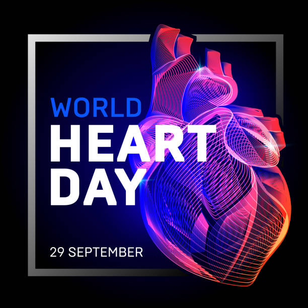 vektor jantung tubuh manusia dengan garis geometri 3d abstrak dan seni gelombang gradien untuk hari jantung kesehatan dunia medis atau anatomi kardiologi obat atau wireframe organ ilmu biologi pada latar belakang gelap - jantung manusia ilustrasi stok
