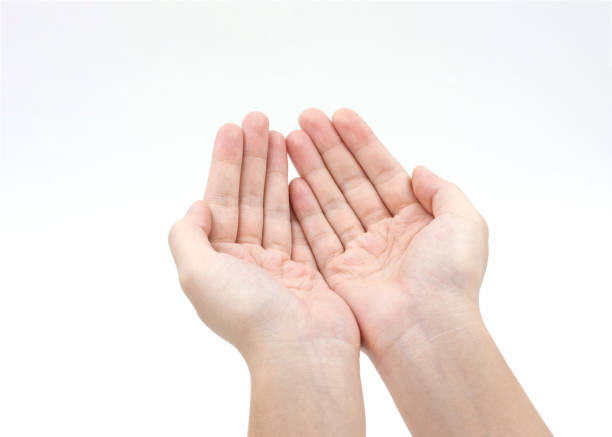 istock Close-Up Of Hands Cupped Against White Background 1136527309