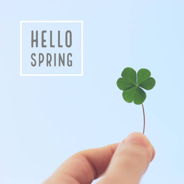istock Hello spring word on hand holding clover leaf on sky, pastel style 1136528797