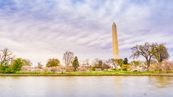 Washington Monument. Washington, D.C., USA.