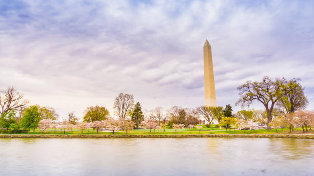 pomnik waszyngtona - washington dc monument sky cloudscape zdjęcia i obrazy z banku zdjęć