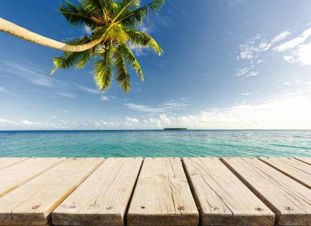 istock Empty wooden platform under palm tree at the seaside 1136531678