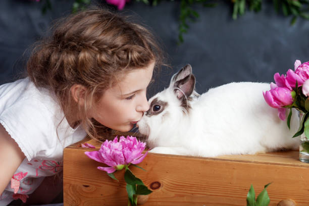 本物のウサギと遊んでいる小さな女の子。花の背景にイースターの子供と白のバニー。キッドキスペット。動物や子供のための楽しさと友情。 - easter easter bunny fun humor ストックフォトと画像