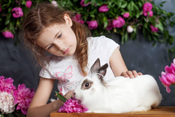本物のウサギと遊んでいる小さな女の子。花の背景にイースターの子供と白のバニー。子供とペットが遊びます。動物や子供のための楽しさと友情。 - easter easter bunny fun humor ストックフォトと画像