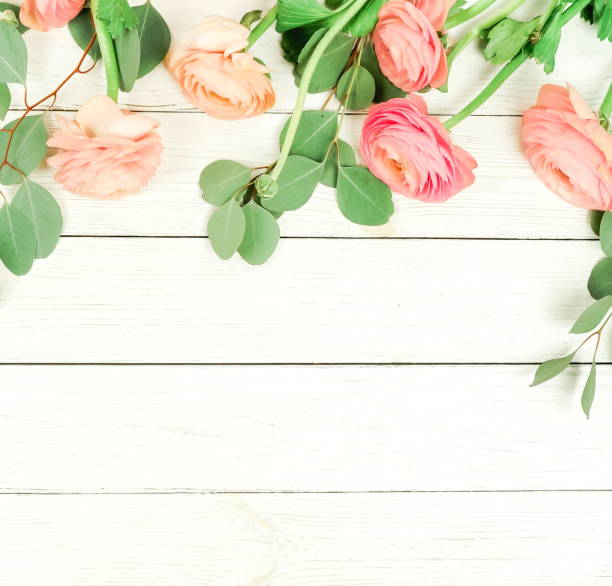 istock Flowers composition background . Pink flowers ranunkulus and eucalyptus leaves frame  on white wooden background. Top view. Copy space. Flat lay 1136538289