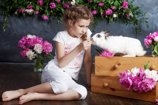 本物のウサギと遊んでいる小さな女の子。花の背景にイースターの子供と白のバニー。幼児の子供はペットの動物を養う。子供とペットが遊びます。動物や子供のための楽しさと友情。 - easter easter bunny fun humor ストックフォトと画像