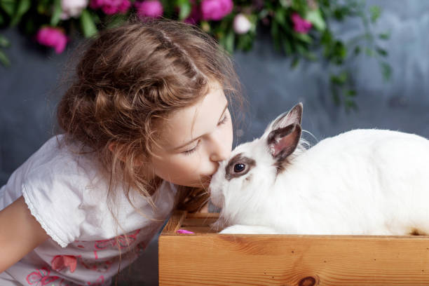 本物のウサギと遊んでいる小さな女の子。花の背景にイースターの子供と白のバニー。キッドキスペット。動物や子供のための楽しさと友情。 - easter easter bunny fun humor ストックフォトと画像