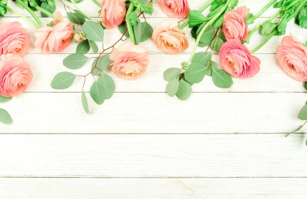 istock Flowers composition background . Pink flowers ranunkulus and eucalyptus leaves frame  on white wooden background. Top view. Copy space. Flat lay 1136539152