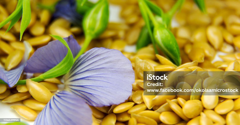 Golden flax seeds with blue flower petals closeup Acid Stock Photo