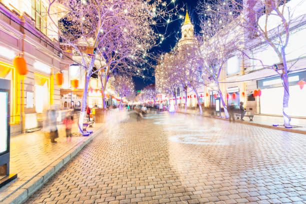 istock Central Avenue of Harbin 1136541671