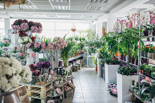 City flower shop