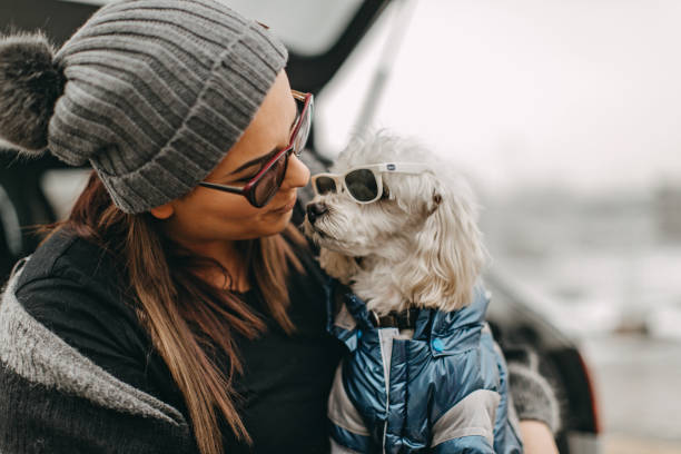 istock One woman sitting and playing with dog 1136545903