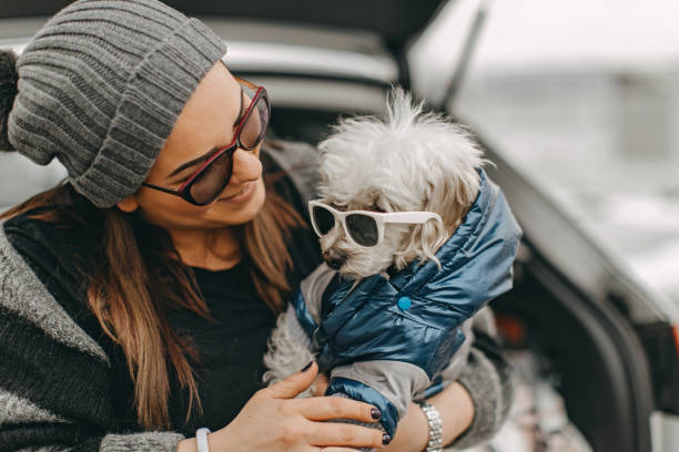 istock One woman sitting and playing with dog 1136545974