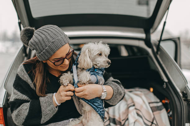 istock One woman sitting and playing with dog 1136546320