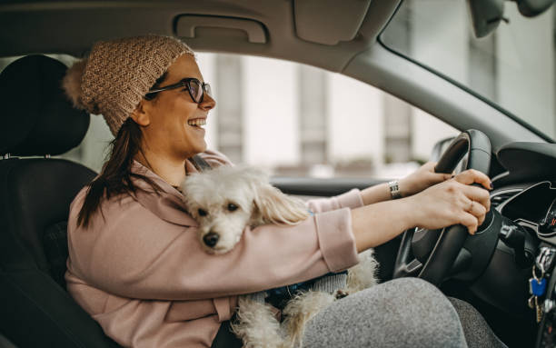 istock One woman sitting and playing with dog 1136546416