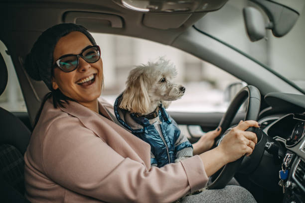 istock One woman sitting and playing with dog 1136546612