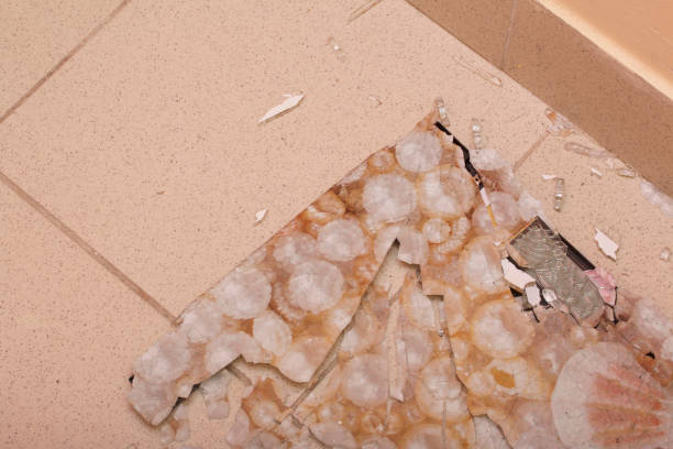 istock Broken bathroom scales. Toughened glass crumbled into pieces from a blow. 1136546843