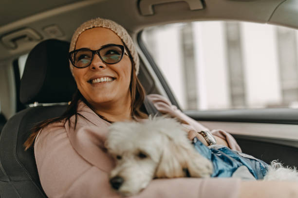 istock One woman sitting and playing with dog 1136546866
