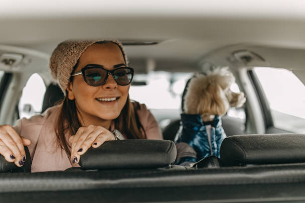 istock One woman sitting and playing with dog 1136546871