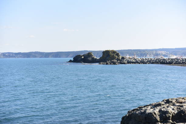 istock Istanbul bosphorus  view in a day time 1136547609