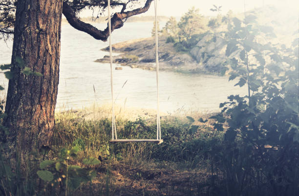 Swing hanging in the trees