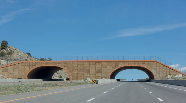 natural animal passage bridge at highway of nevada utah USA America natural animal passage bridge at highway of nevada utah USA America nevada highway stock pictures, royalty-free photos & images