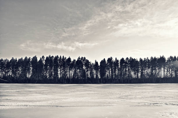 silhuett av en vinter skog i skandinavien - fjäll sjö sweden bildbanksfoton och bilder