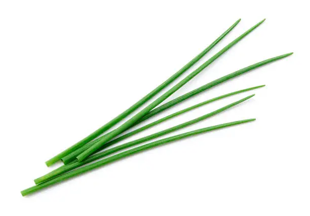 Chives isolated. Green onion.