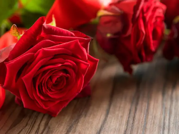 funeral and mourning concept - red rose flower on wooden coffin. Close up
