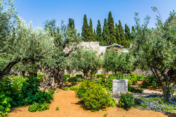 istock The Gethsemane in holy Jerusalem 1136564453