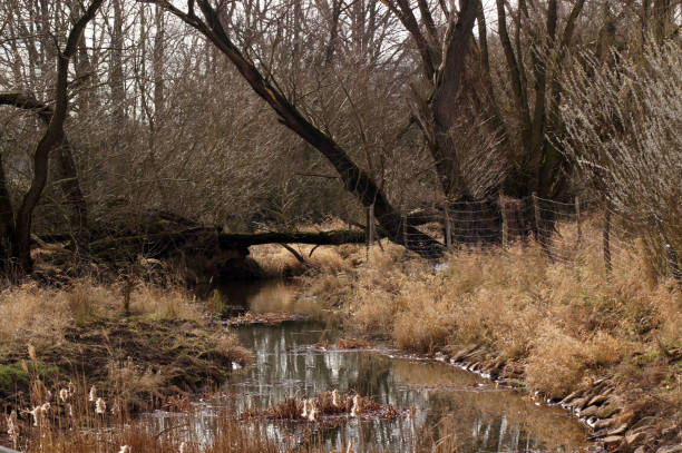 istock Moorland On the Riverbank 1136564835