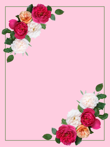 istock Botanic card with wild flowers, leaves. Spring ornament concept. 1136565591
