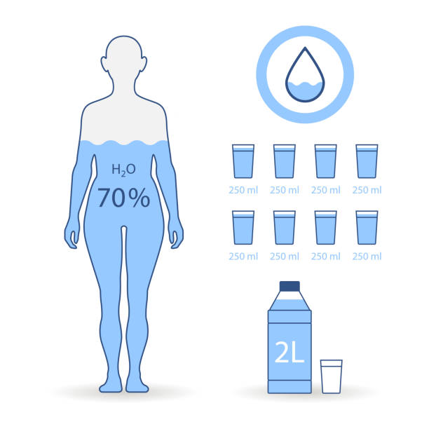 istock Water balance flat illustrations woman drinking glass 1136566126
