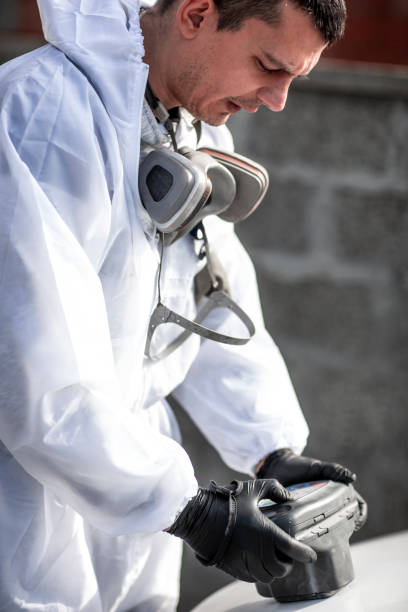 istock Painting technician in white suit holding a paint inspection device on a painted surface area of a car 1136568682