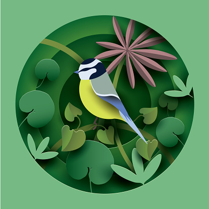 istock Bird in the thickets of plants. 1136569520