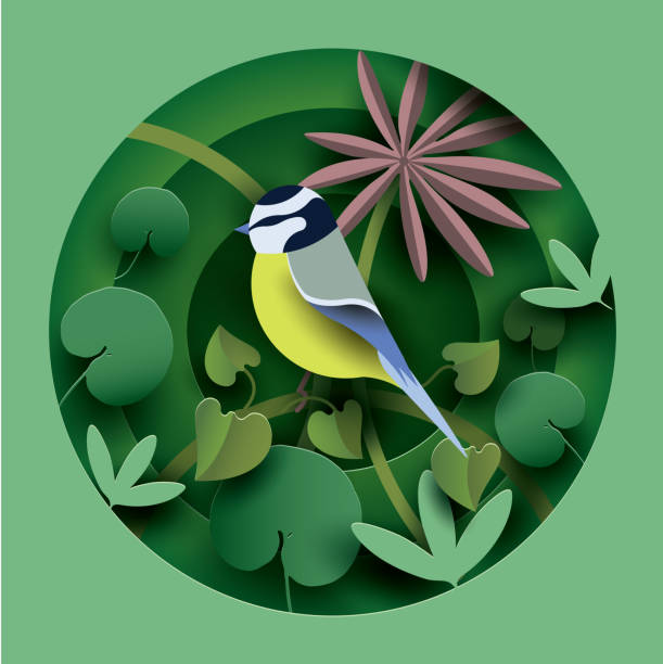 Bird in the thickets of plants. Bird in the thickets of plants. Paper cut style. Spring/Summer composition. Vector illustration papercutting illustrations stock illustrations