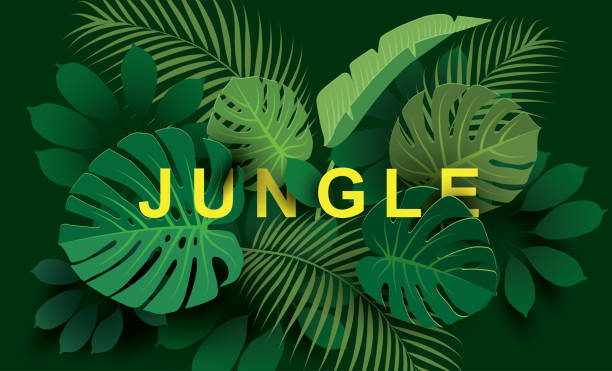 Branches of tropical plants  with the inscription "JUNGLE". Branches of different tropical plants  with the inscription "JUNGLE" on dark background typescript illustrations stock illustrations