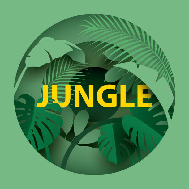 Tropical leaves . Different tropical leaves with the inscription "JUNGLE". Paper cut style. Vector illustration papercutting stock illustrations