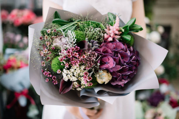 muy bonita mujer joven sosteniendo hermoso ramo de flores tierna de hortensia fresca, rosas, claveles, eustoma florece en colores púrpura y verde - blom fotografías e imágenes de stock