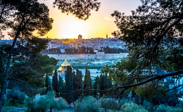 la ciudad vieja de jerusalén y el monte de los olivos - mount of olives fotografías e imágenes de stock