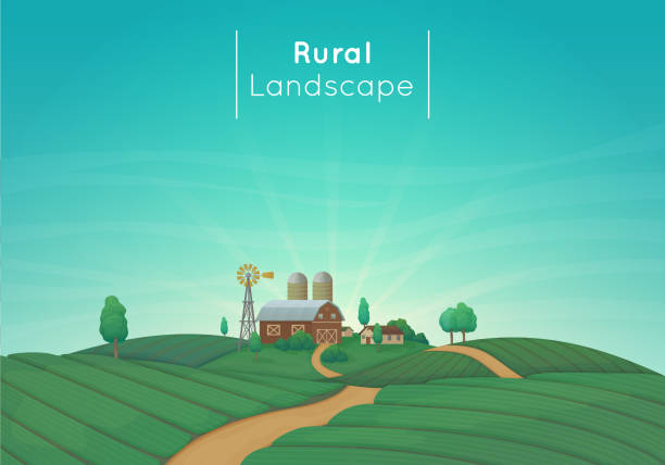 illustrations, cliparts, dessins animés et icônes de illustration de vecteur de paysage agricole rural. maison de ferme, grange, silos, moulin à vent avec des buissons et des arbres. champs agricoles verts avec un chemin de terre. ciel bleu avec des nuages et des rayons du soleil en arrière-plan. - windmill cultivated land crop day