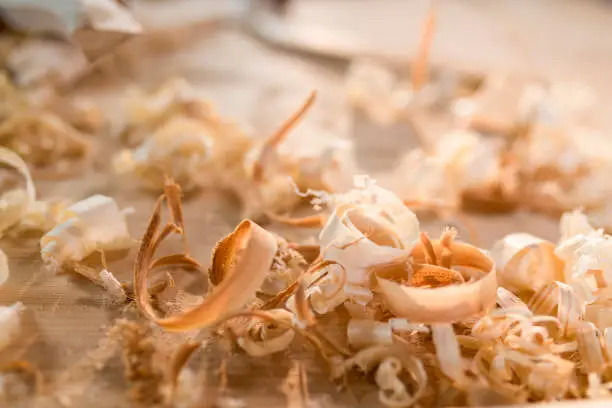 Close-up of wood shavings on table.