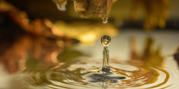istock A drop of water, closeup 1136580359