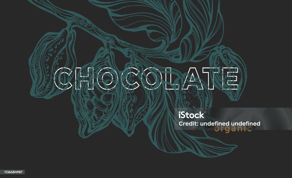 Vector template. Cacao bean. Vintage banner, tropical card Vector graphic template. Cacao tree, branch, leaves, bean. Vintage exotic banner. Tropic card, art sketch. Hand drawn illustration, bio sweet dessert. Nature design, antique print, natural chocolate Nut - Food stock vector