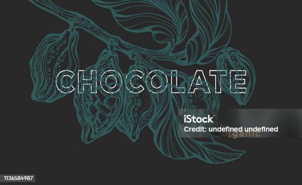 Vector Template Cacao Bean Vintage Banner Tropical Card Stock Illustration - Download Image Now