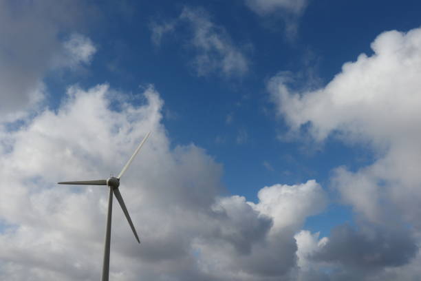 istock Wind turbines in field under blue sky with fluffy white clouds 1136587258